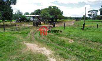 Imagem 3: FAZENDA RURAL em Cassilândia - MS, Centro