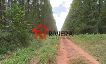 Imagem: FAZENDA RURAL em VARGEM GRANDE - MA, Centro