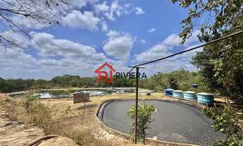 Imagem 2: TERRENO RURAL em São Luís - MA, Vila Maranhão