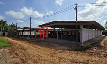 Imagem 2: GALPAO INDUSTRIAL em São Luís - MA, Vila Itamar