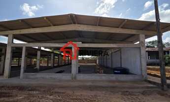 Imagem 3: GALPAO INDUSTRIAL em São Luís - MA, Vila Itamar