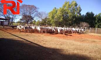 Imagem 1: FAZENDA RURAL em Engenheiro Navarro - MG, Engenheiro navarro