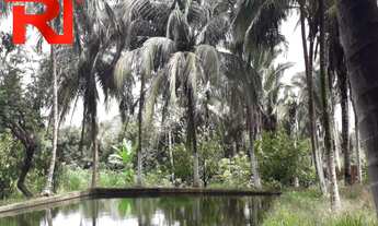 Imagem: SITIO RESIDENCIAL em São José de Ribamar
