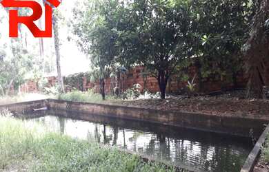 Imagem 3: SITIO RESIDENCIAL em São José de Ribamar - MA, Estrada de Ribamar