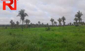 Imagem: FAZENDA RURAL em Governador Archer - MA