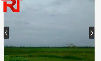 Imagem 5: FAZENDA RURAL em Governador Archer - MA, Zona Rural