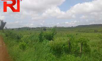 Imagem 6: FAZENDA RURAL em Governador Archer - MA, Zona Rural