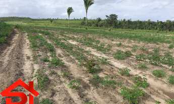 Imagem: FAZENDA RURAL em Pinheiro - MA, MA 06