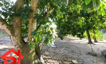 Imagem 2: TERRENO COMERCIAL em São Luís - MA, Tibiri