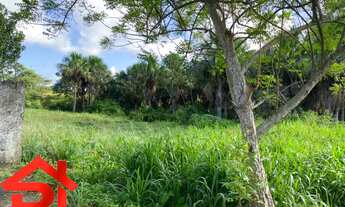 Imagem 3: TERRENO COMERCIAL em São Luís - MA, Tibiri