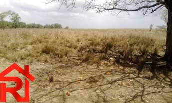 Imagem 3: AREA COMERCIAL em Anajatuba - MA, Centro