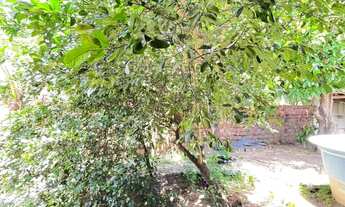 Imagem 5: SITIO RESIDENCIAL em RAPOSA - MA, Centro