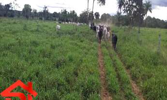 Imagem: FAZENDA RURAL em SÃO PEDRO DOS CRENTES