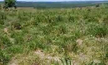 Imagem 4: FAZENDA RURAL em LAGO DA PEDRA - MA, Centro
