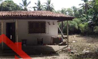 Imagem: SITIO RURAL em SÃO JOSÉ DE RIBAMAR - MA