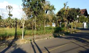 Imagem 4: VENDA - TERRENO COMERCIAL/RESIDENCIAL NO CENTRO DE ESTÂNCIA VELHA