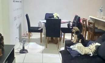 Imagem 5: Imperdível: Apartamento à venda no bairro Penha, Rio de Janeiro-RJ! 3 quartos, 1 suíte, 1