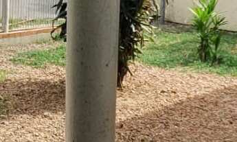 Imagem 4: Terreno na Otto Niemeyer, comercial, ótima localização, venda, aluguel, pronto para incorp