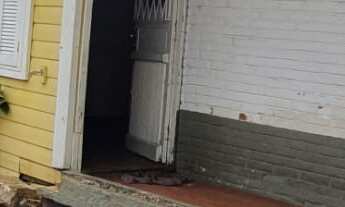 Imagem 3: Terreno na Otto Niemeyer, comercial, ótima localização, venda, aluguel, pronto para incorp