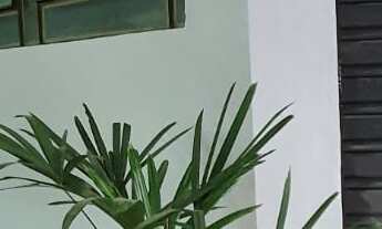 Imagem 3: Loja em Porto Alegre, avenida Otto Niemeyer, excelente fluxo de calçada, aluguel baixo e S