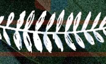 Imagem 2: LANÇAMENTO de terreno em condomínio EM INDAIATUBA SP