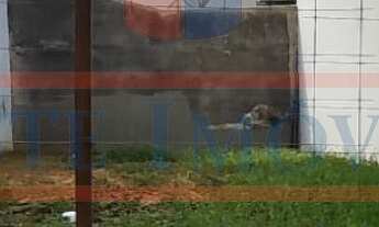 Imagem: Terreno a venda no Jardim Colonial