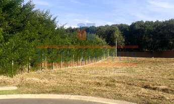 Imagem 3: 388M² de Área Total na Rua Avelino Marqui