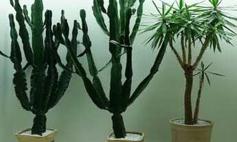 Imagem 7: CASA RESIDENCIAL em São Paulo - SP, Tucuruvi