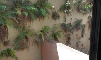 Imagem 5: SALAO COMERCIAL em SÃO PAULO - SP, SANTANA