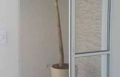 Imagem 4: CASA RESIDENCIAL em SÃO PAULO - SP, ÁGUA FRIA