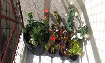 Imagem 6: APARTAMENTO RESIDENCIAL em SÃO PAULO - SP, VILA MAZZEI