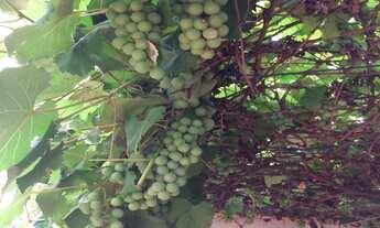 Imagem 4: CASA RESIDENCIAL em SÃO PAULO - SP, TREMEMBÉ