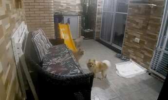 Imagem 5: CASA RESIDENCIAL em SÃO PAULO - SP, VILA PAULISTANA