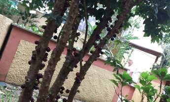 Imagem 7: CASA RESIDENCIAL em SÃO PAULO - SP, HORTO FLORESTAL