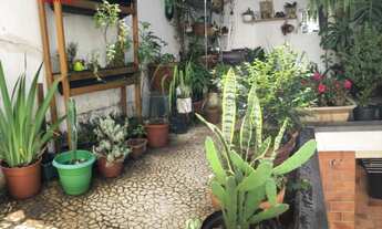 Imagem 6: 3 dormitórios na Rua Halionore