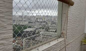 Imagem 5: 3 dormitórios na Rua Marina Crespi