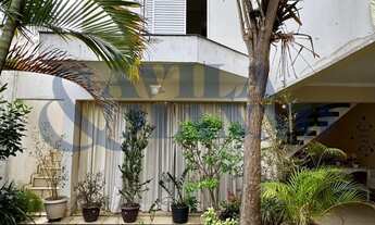 Imagem 2: 3 dormitórios na Rua Doutor José Higino