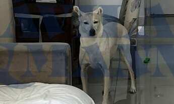 Imagem 4: Imperdível oportunidade de adquirir um apartamento com 3 quartos e 2 vagas de garagem no A