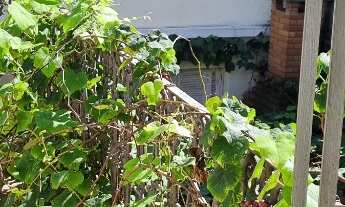 Imagem 4: Sobrado com 3 quartos na Mooca