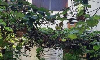 Imagem 2: Sobrado com 3 quartos na Mooca