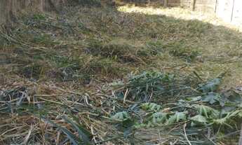 Imagem 3: Terreno no Jardim Textil