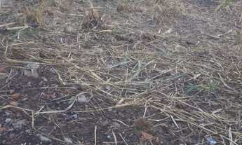 Imagem 5: Terreno no Jardim Textil