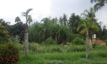 Imagem 6: ÁREA COMERCIAL em CAMPINAS - SP, PARQUE ANHUMAS