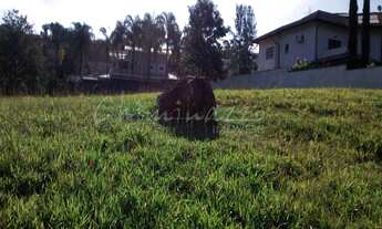 Imagem 6: TERRENO RESIDENCIAL em CAMPINAS - SP, ALPHAVILLE