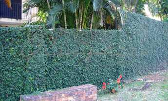 Imagem 7: CASA COM/RES em CAMPINAS - SP, VILA BRANDINA