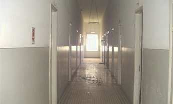 Imagem 4: PRÉDIO COMERCIAL em CAMPINAS - SP, BOTAFOGO