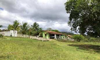 Imagem: FAZENDA COMERCIAL em MATA DE SÃO JOÃO