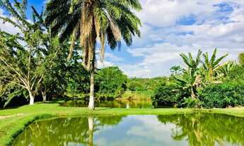 Imagem 7: SÍTIO RURAL em JEQUIRIÇA - BA, JEQUIRIÇA