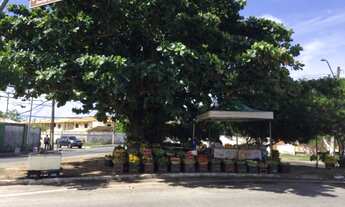 Imagem 3: VILLAGE RESIDENCIAL em SALVADOR - BA, STELLA MARIS