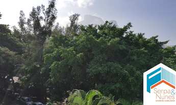 Imagem 6: Cobertura Linear com 03 quartos, 350 m2, Jardim Oceânico, Barra da Tijuca, RJ